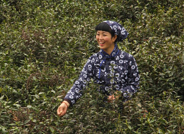 热门推荐2